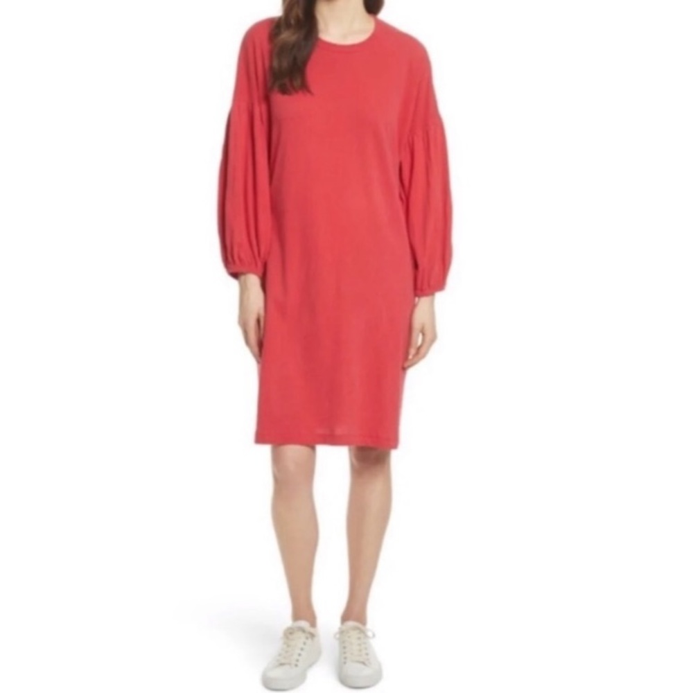 The GREAT Bishop Balloon Dress